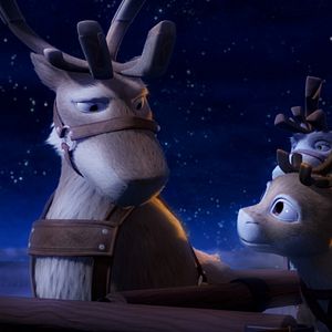 Bilder Niko - Ein Rentier hebt ab