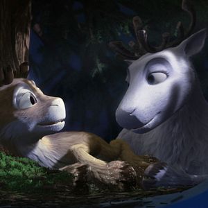 Bilder Niko - Ein Rentier hebt ab