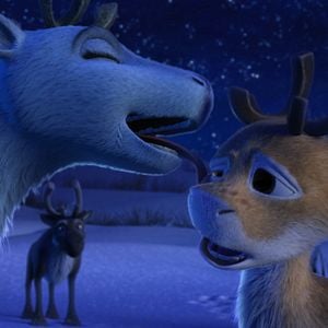 Bilder Niko - Ein Rentier hebt ab