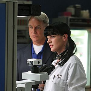 Bilder Pauley Perrette