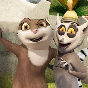 Bilder Die Pinguine aus Madagascar