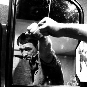 Bilder Lockender Lorbeer