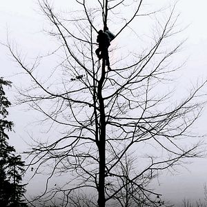 Bilder Andrew Kötting