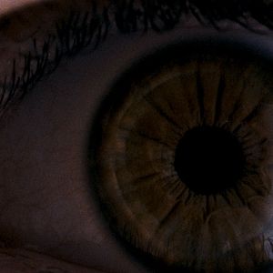 Bilder Amer - Die dunkle Seite deiner Träume