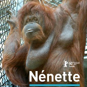 Bilder Nicolas Philibert