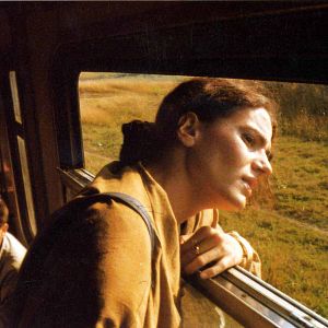 Bilder Baum der Hoffnung