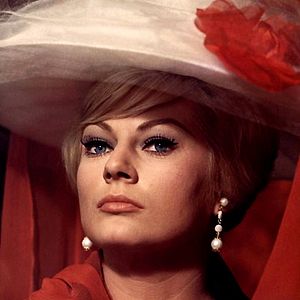 Bilder Vier für Texas