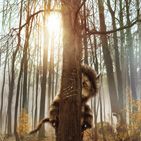 Bilder Wo die wilden Kerle wohnen