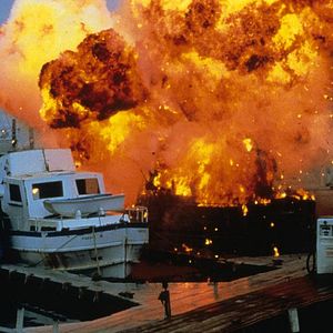 Bilder Gesucht - Tot oder lebendig