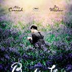 Bilder Bright Star - Die erste Liebe strahlt am hellsten