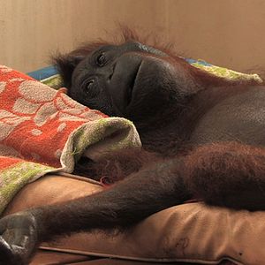 Bilder Patrick Rouxel