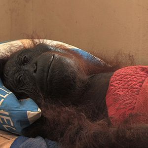 Bilder Patrick Rouxel