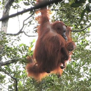 Bilder Patrick Rouxel