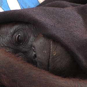 Bilder Patrick Rouxel