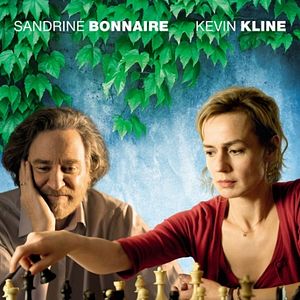 Bilder Die Schachspielerin