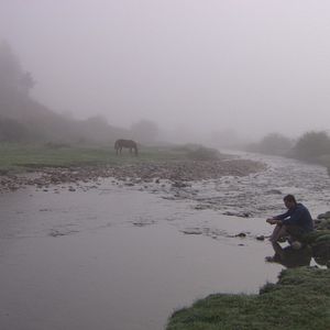 Bilder Darielle Tillon