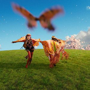 Bilder Saoirse Ronan