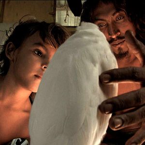 Bilder Pedro Gonzalez-Rubio