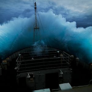 Bilder Jagdzeit - Den Walfängern auf der Spur