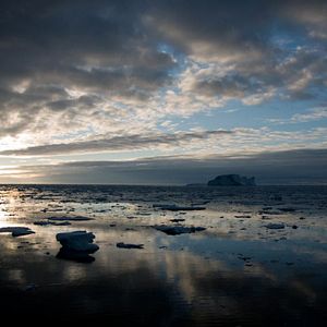 Bilder Jagdzeit - Den Walfängern auf der Spur