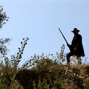 Bilder Les Colts de l'or noir