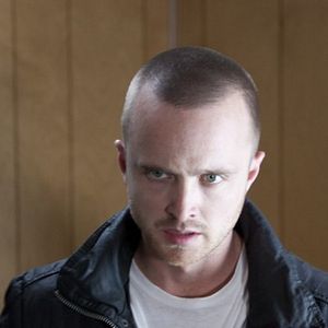Bilder Aaron Paul