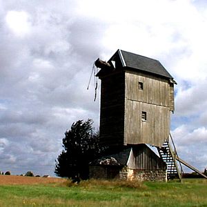 Bilder Bernard ni dieu ni chaussettes