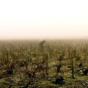 Bilder Bernard ni dieu ni chaussettes