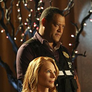 Bilder Marg Helgenberger