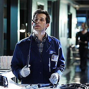 Bilder CSI: Den Tätern auf der Spur