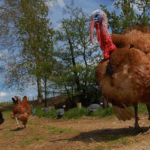 Bilder Frédéric Goupil
