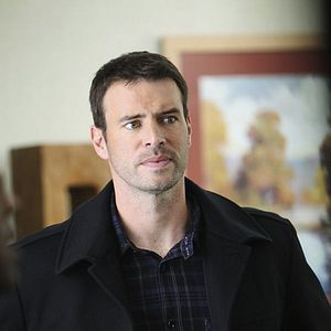 Bilder Scott Foley