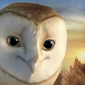 Bilder Die Legende der Wächter