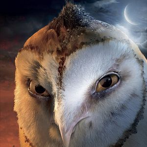 Bilder Die Legende der Wächter