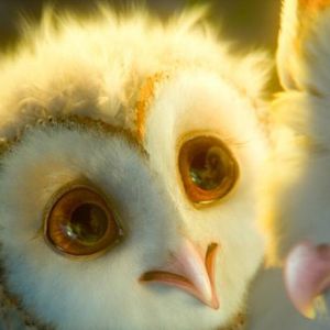 Bilder Die Legende der Wächter