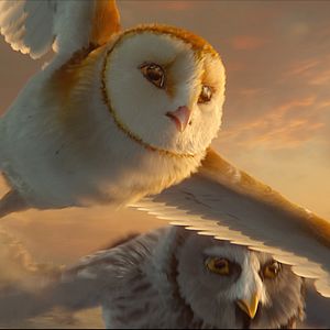 Bilder Die Legende der Wächter