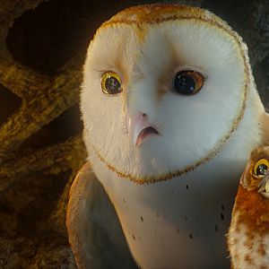 Bilder Die Legende der Wächter