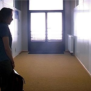 Bilder Der Wald vor lauter Bäumen