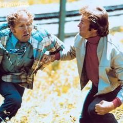 Bilder Im Auftrag des Drachen