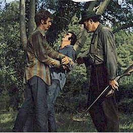 Bilder Der Tiger hetzt die Meute