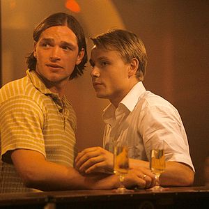 Bilder Der Rote Kakadu