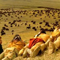 Bilder Der mit dem Wolf tanzt