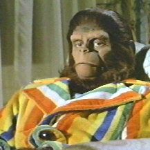 Bilder Flucht vom Planet der Affen