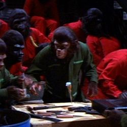 Bilder Eroberung vom Planet der Affen