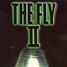 Bilder Die Fliege II