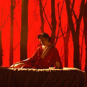 Bilder Starfish Hotel