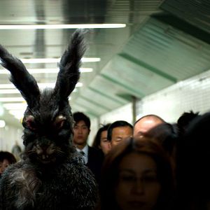 Bilder Starfish Hotel