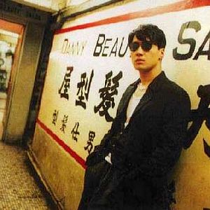 Bilder Fallen Angels