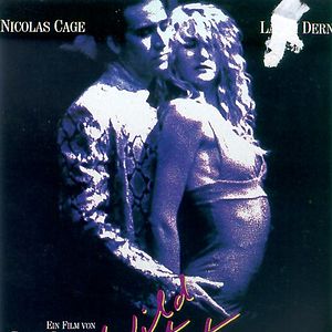 Bilder Wild at Heart