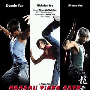 Bilder Dragon Tiger Gate